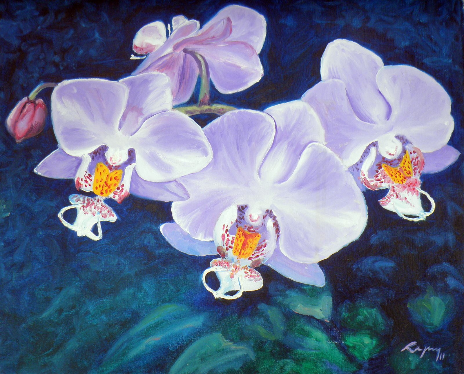 Orchids II