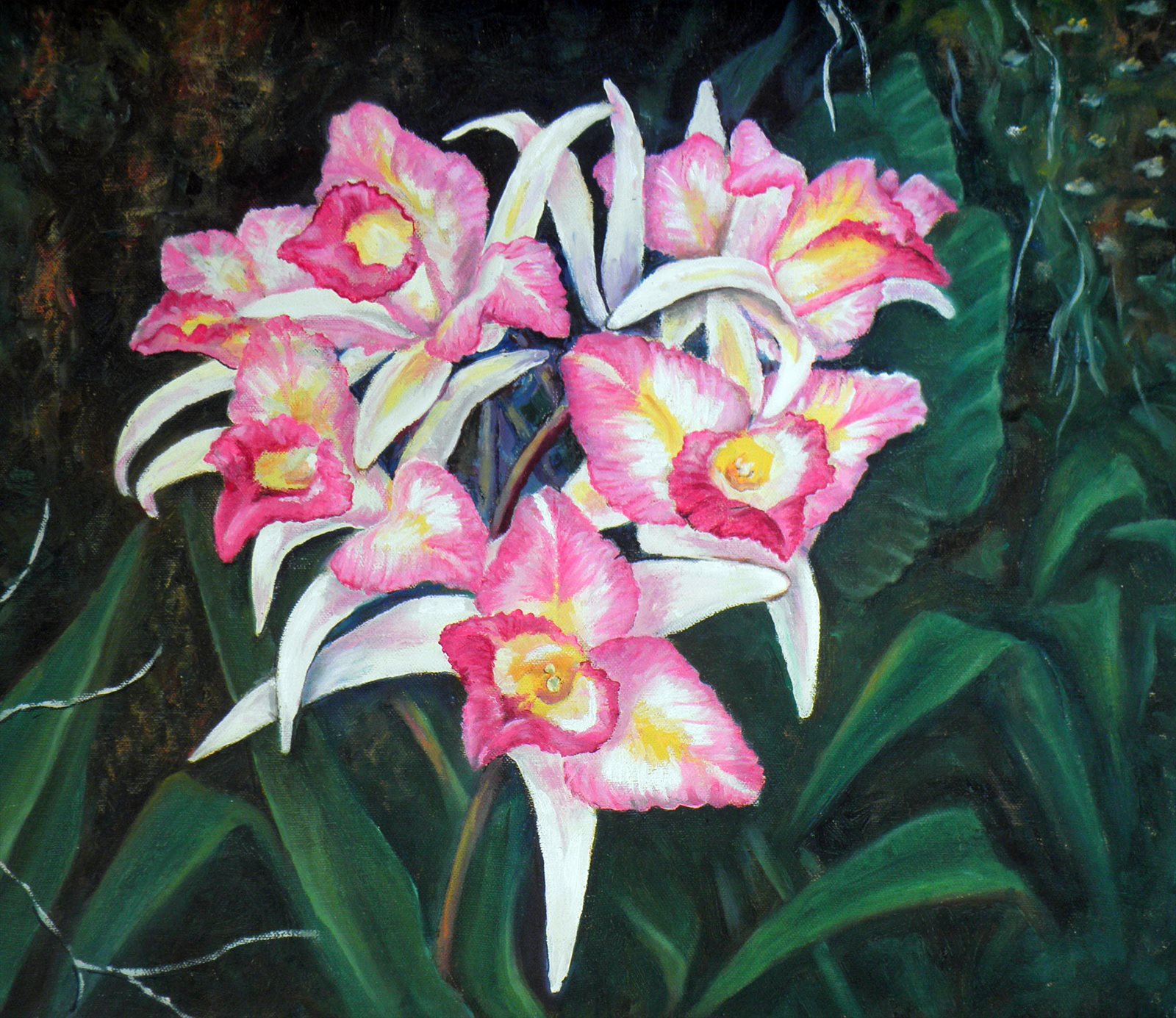 Orchids III