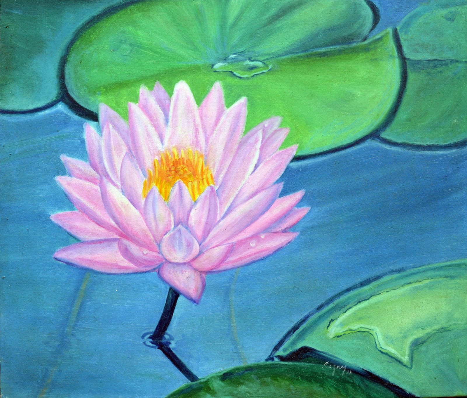 Pink Lily and Water Droplet