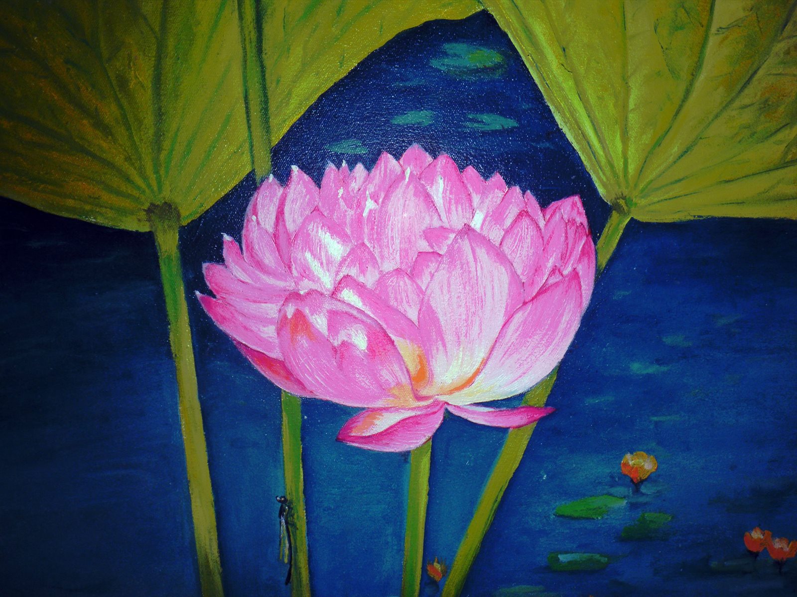 Pink Lotus I