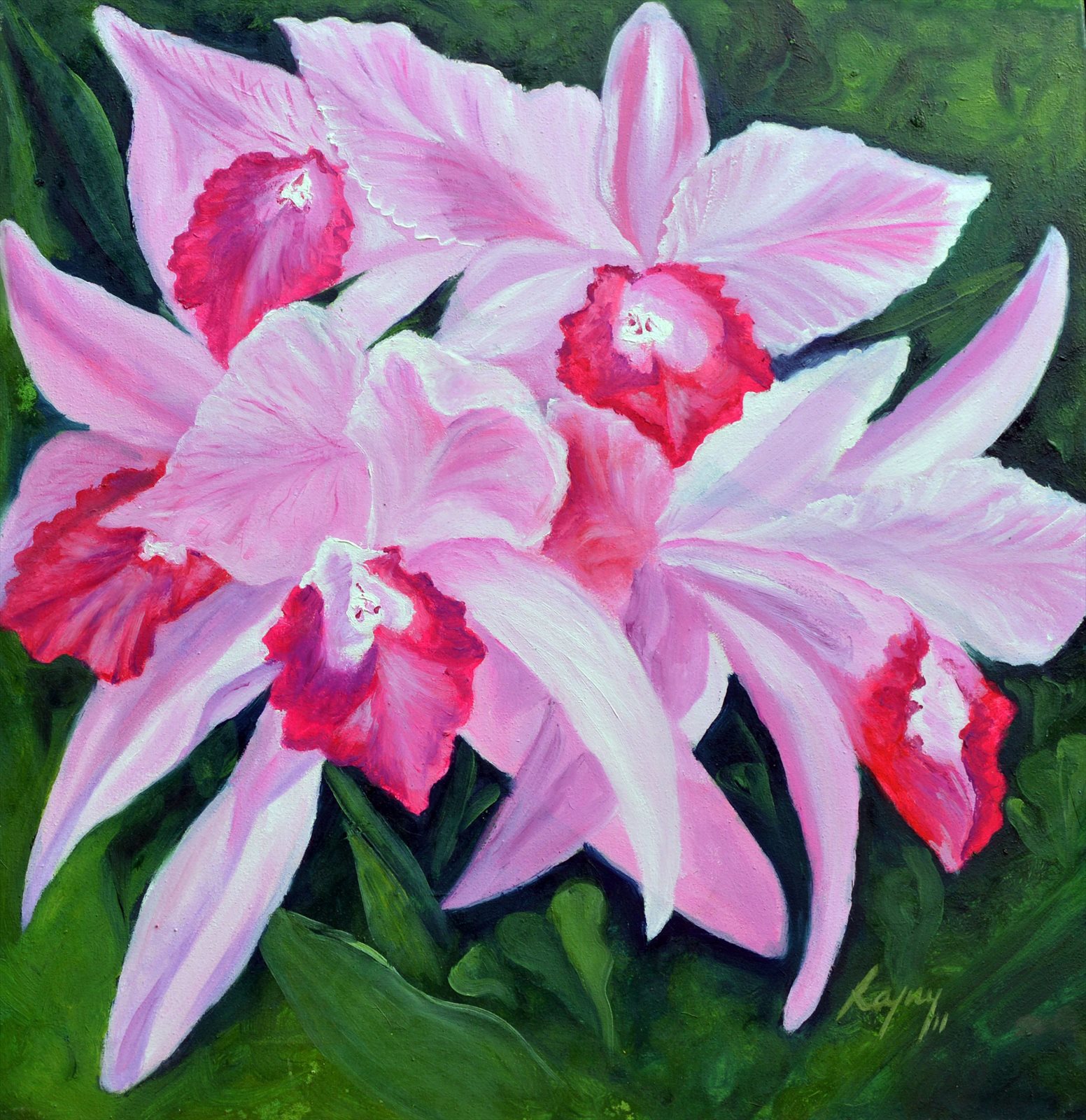 Riot of Pink Orchids