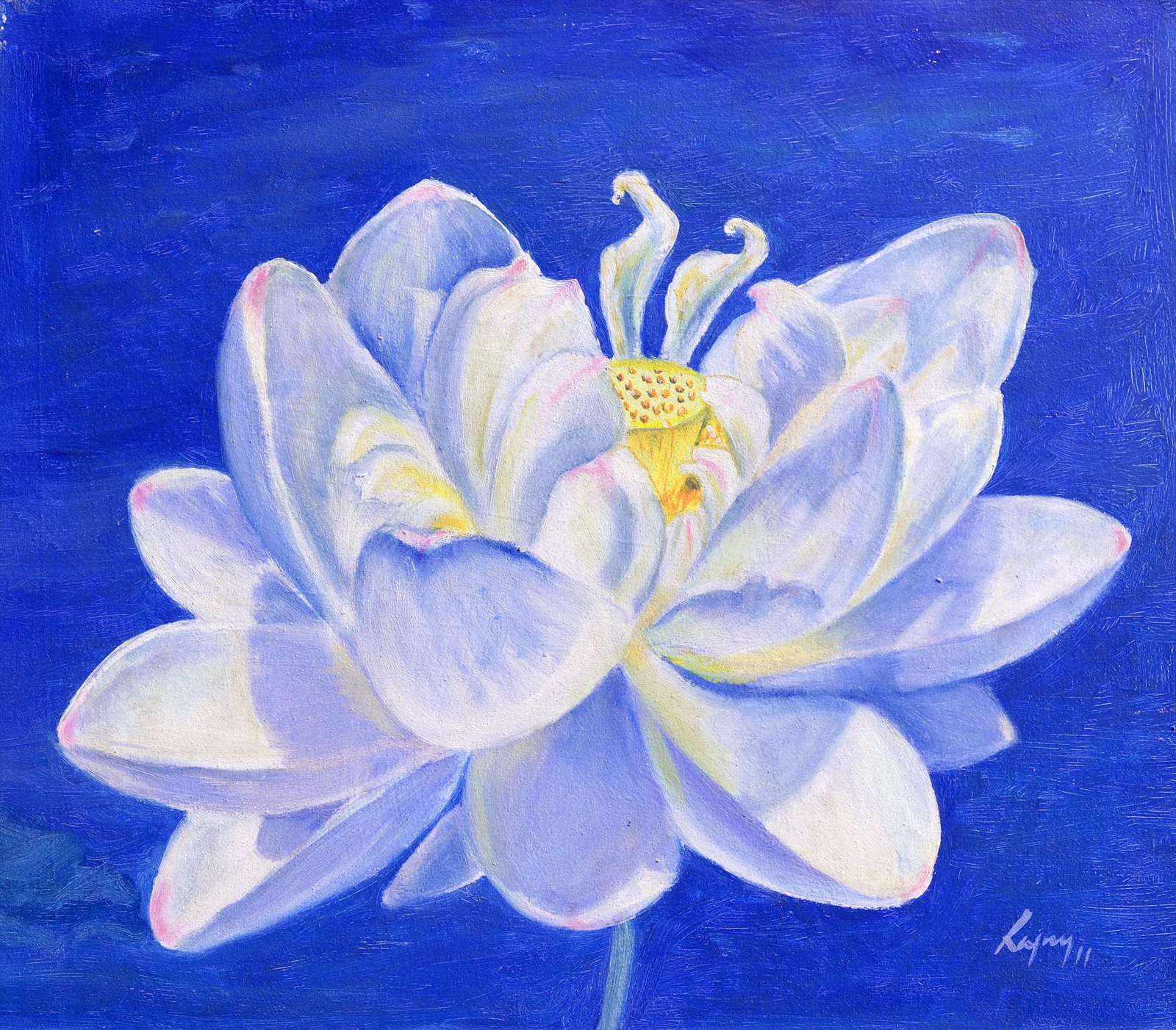 White Lotus II