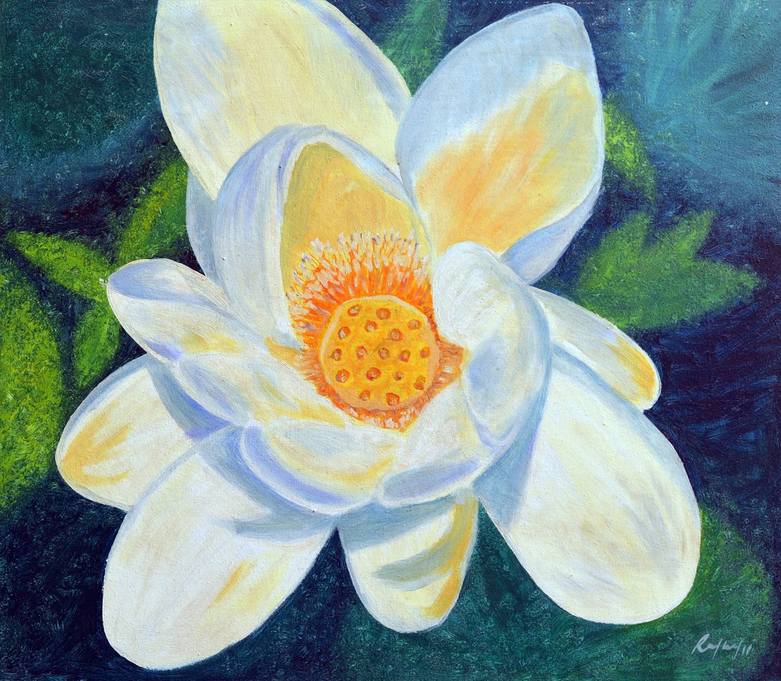 White Lotus Bud