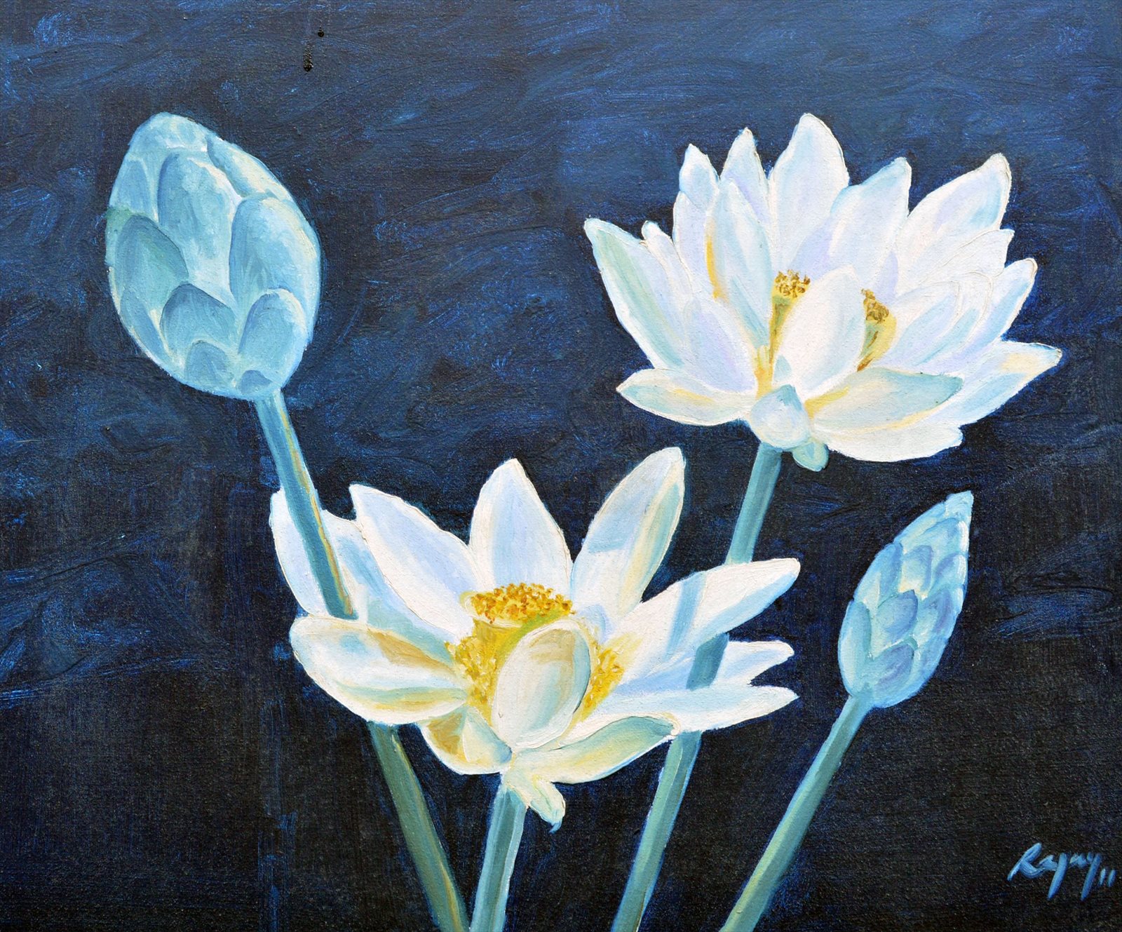 White Lotuses and Buds, Backlit