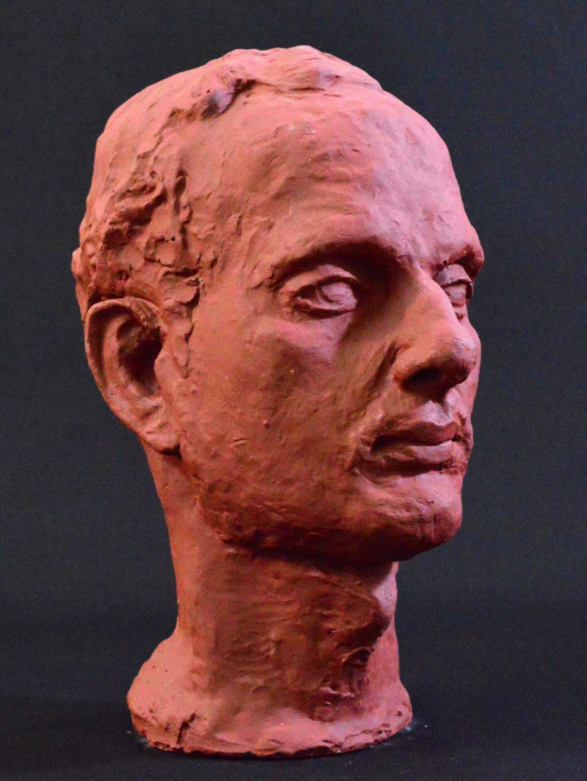 Shankar — Head Study